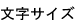 文字サイズ